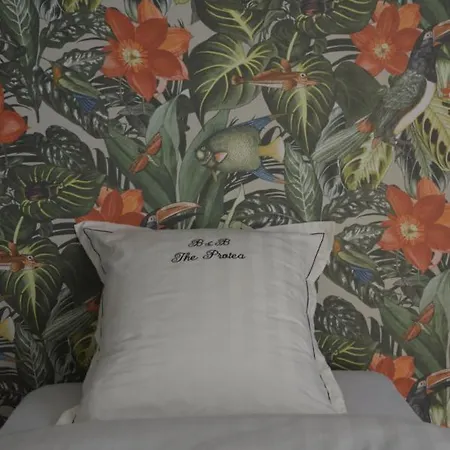 Bed & Breakfast The Protea 2*