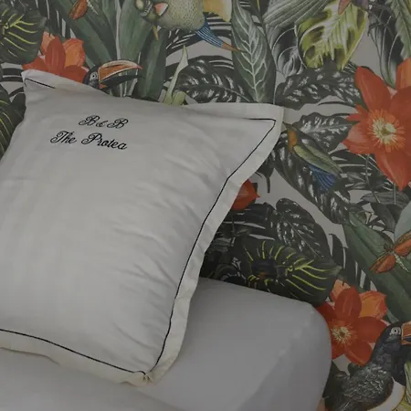 The Protea Bed & Breakfast 2*