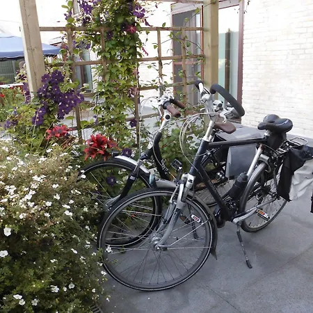 The Protea Bed & Breakfast